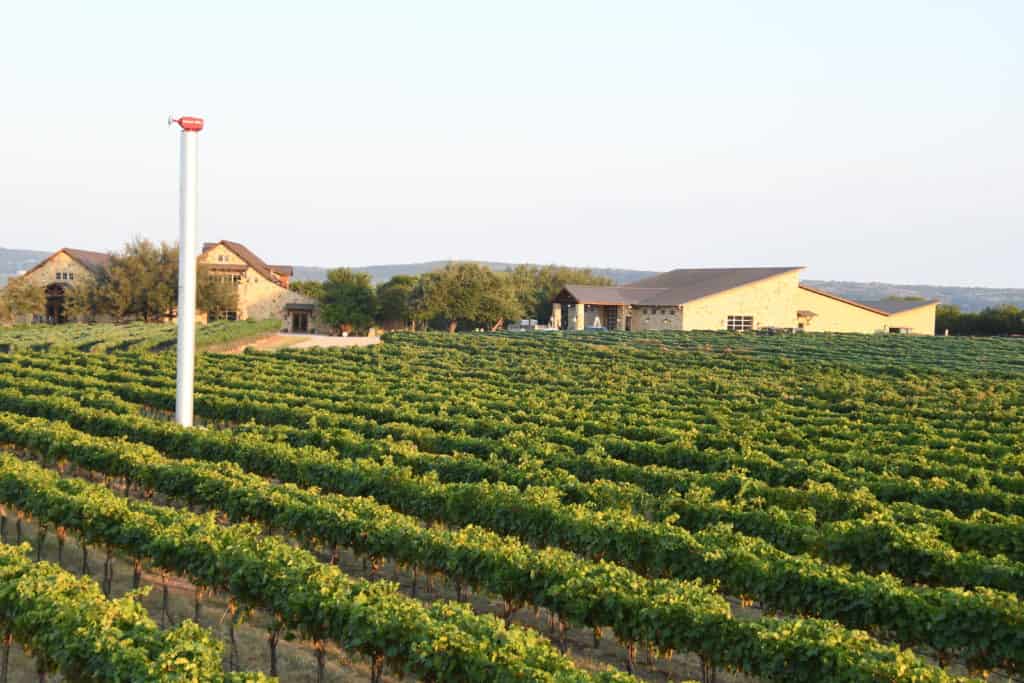 Perissos winery outlet